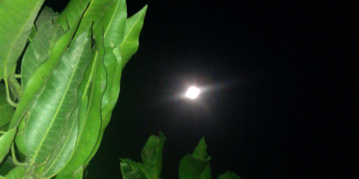 noorhadipml's profile banner image