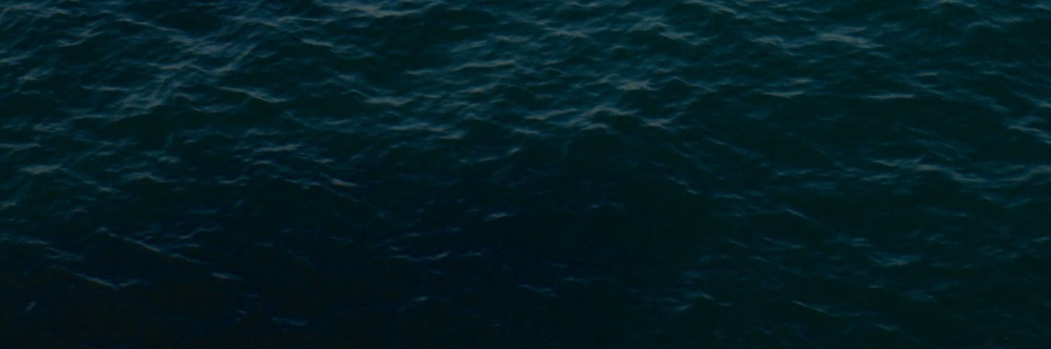 𝕷𐙚 ⋆˙'s banner