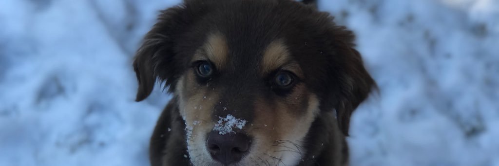 hayyparker's profile banner image