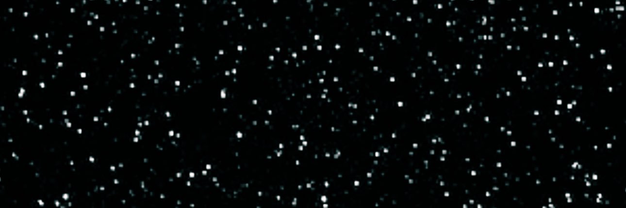 BlakeSouthard's profile banner image