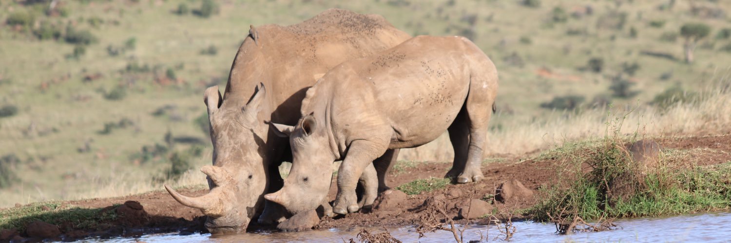 Lucy Obolensky banner