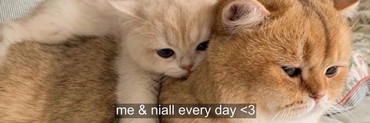 itssniall's profile banner image
