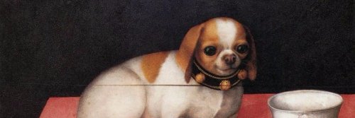 mark_nels's profile banner image