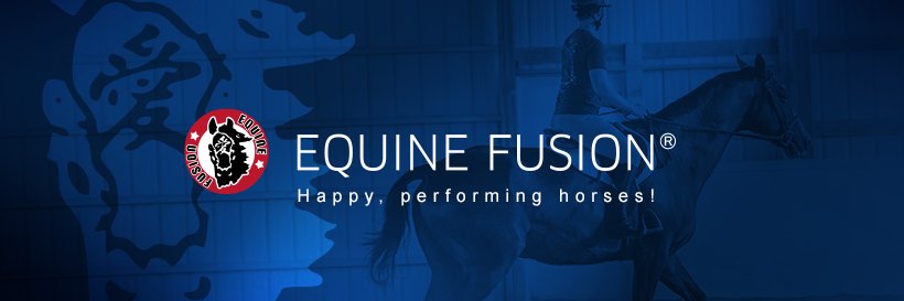 EquineFusion's profile banner image