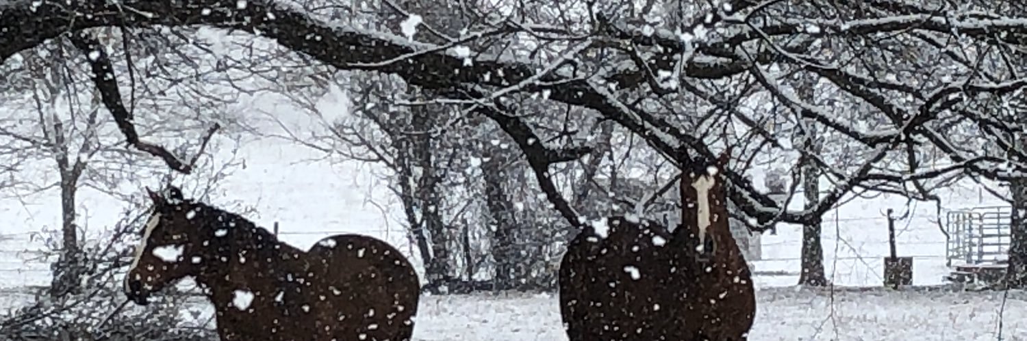 billyfinch6's profile banner image