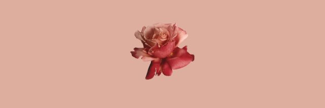 jacquefgrd's profile banner image