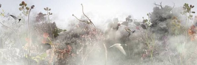 ㄒ卄乇 爪ㄚㄒ卄 banner