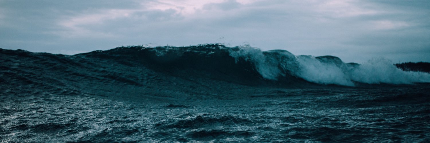 JoniTheSins banner