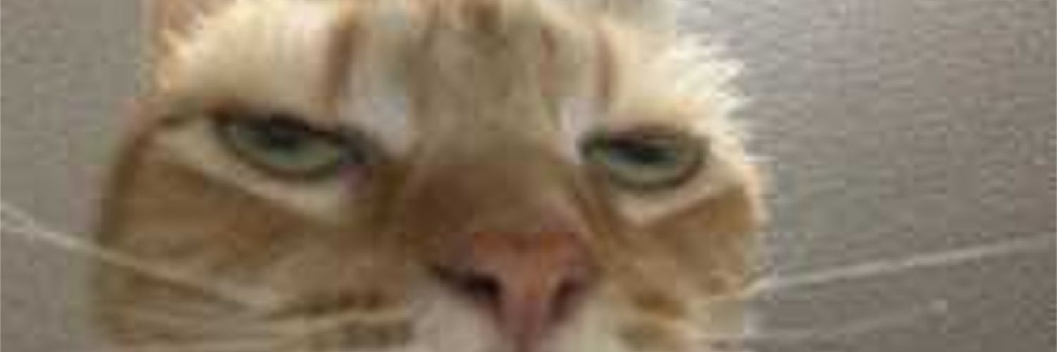 Emanuele Bonasia banner