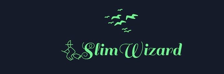 Slim_wizard's profile banner image