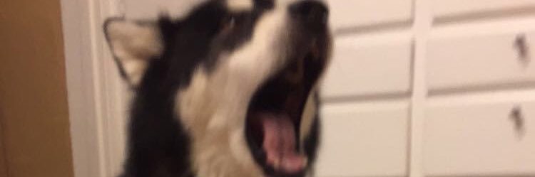 cameronjamess10's profile banner image