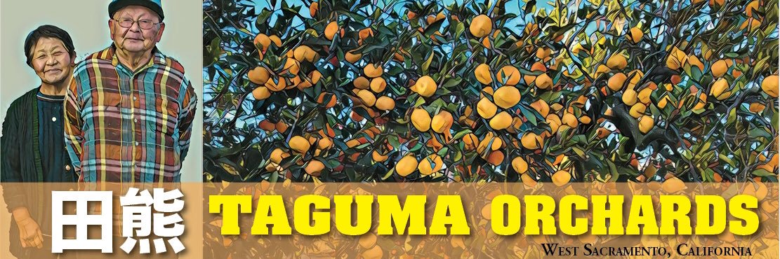 KenjiTaguma's profile banner image