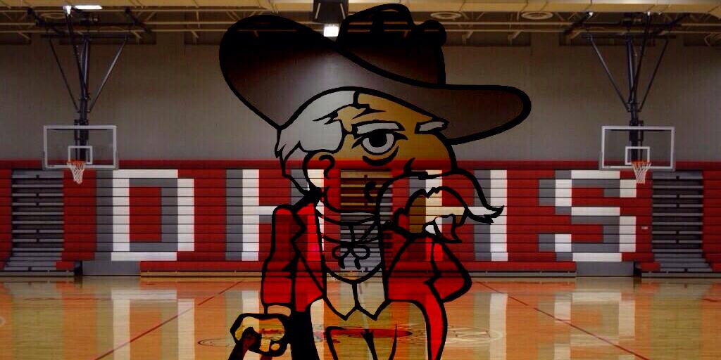 The Dixie Colonel banner