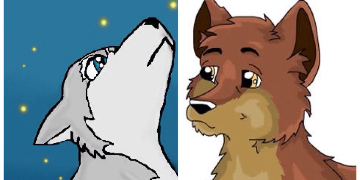 wolfpups3's profile banner image