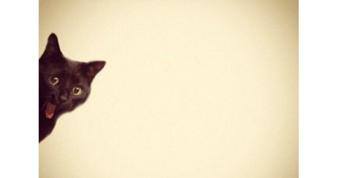 Mikizee's profile banner image
