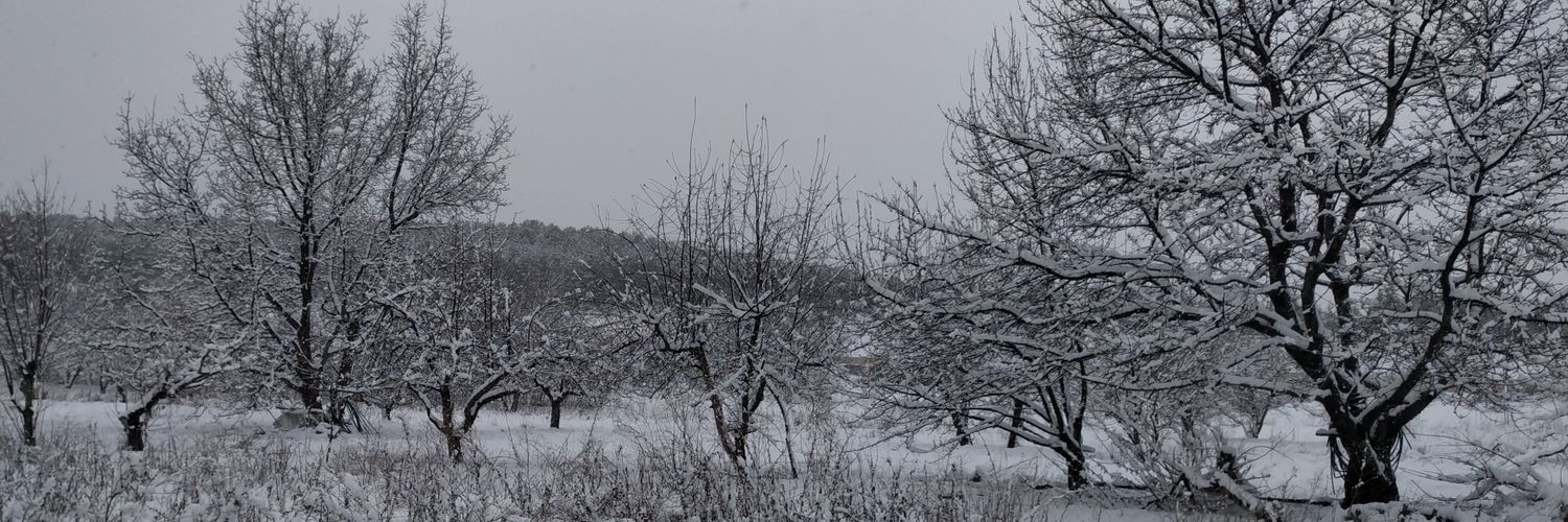 BULUT_84_07's profile banner image