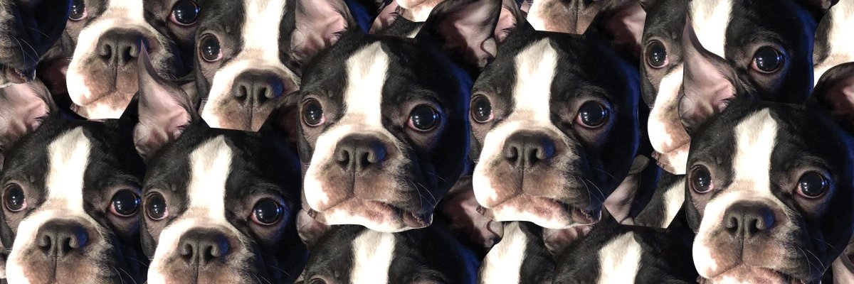 thomaspdoherty's profile banner image