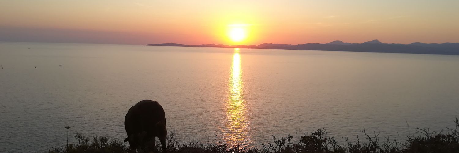 pedrodanielpc's profile banner image