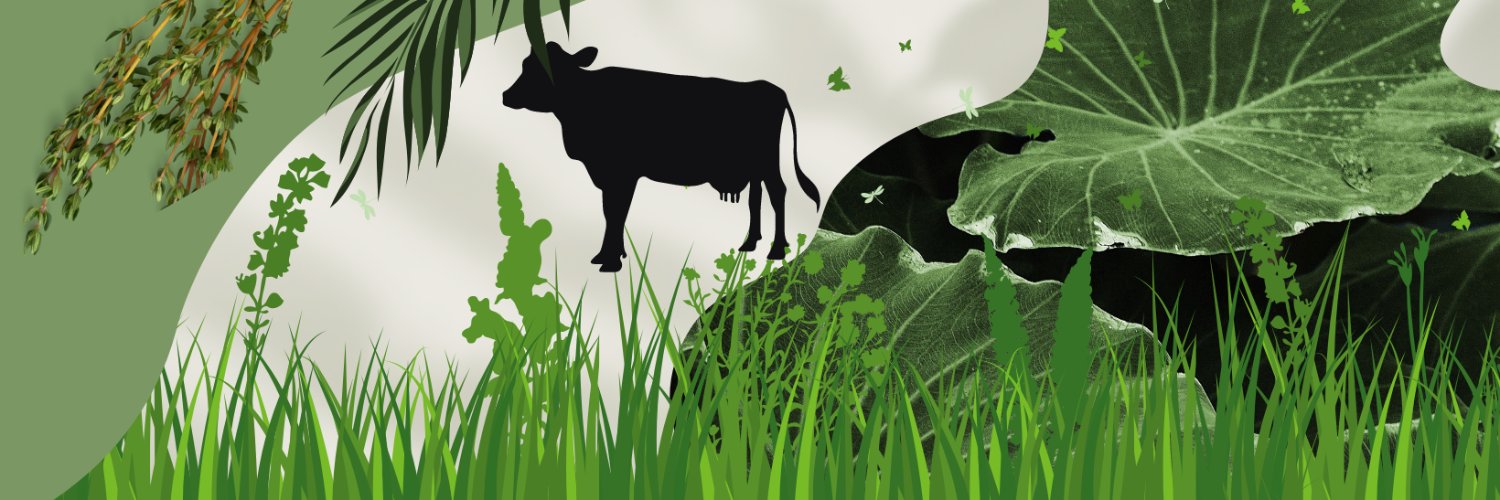busogaspire's profile banner image