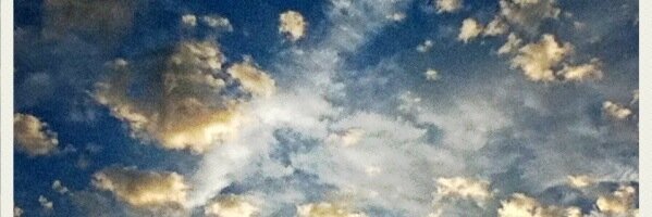 LEE_1113's profile banner image