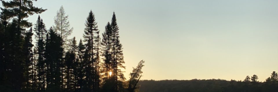 adam_patter's profile banner image