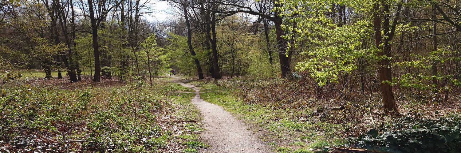 🔸𝕂𝕖𝕕𝕕𝕚𝕝𝕚𝕖𝕟🔸 banner