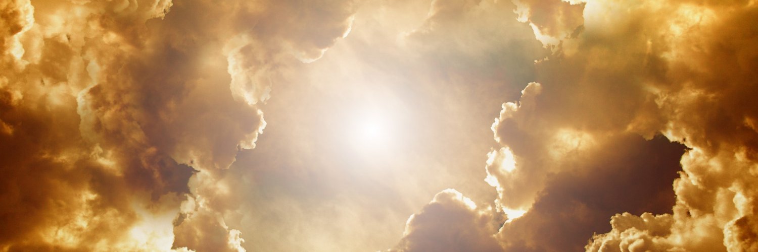 AvianTrine's profile banner image