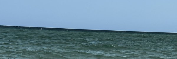 dkenigsberg Profile Banner