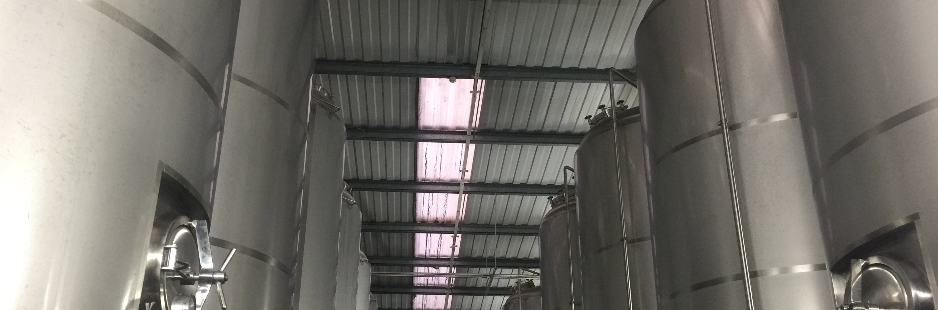 Catslide Brewing Company banner