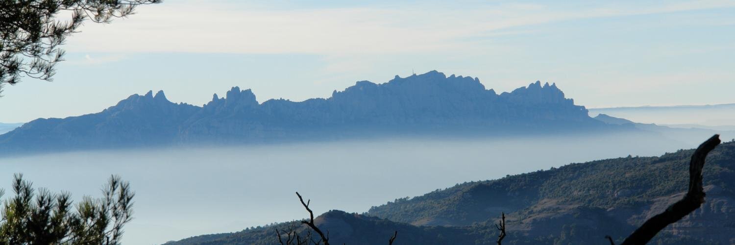 Carles. 1-Oct. SI.🎗 banner