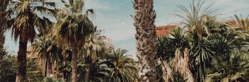 Celinebx's profile banner image