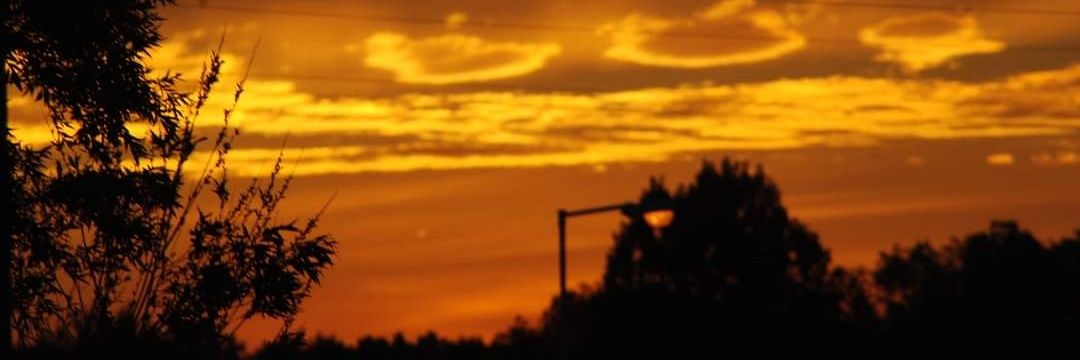 lilisluz's profile banner image
