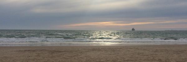 IsabelNFlowers Profile Banner