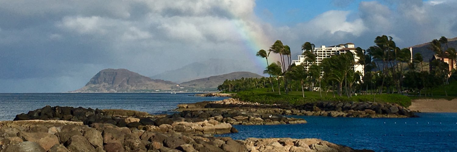 LisaLariscy's profile banner image