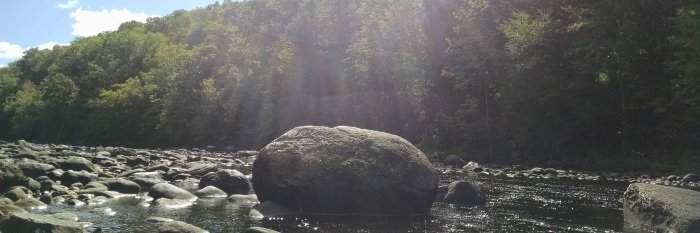 TDawn81's profile banner image