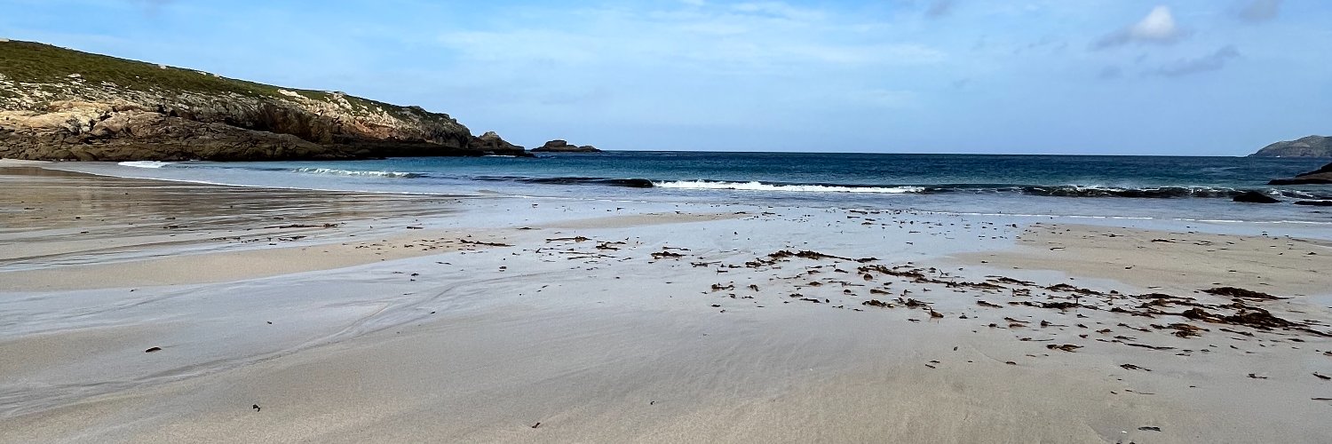 Jill Petzinger banner