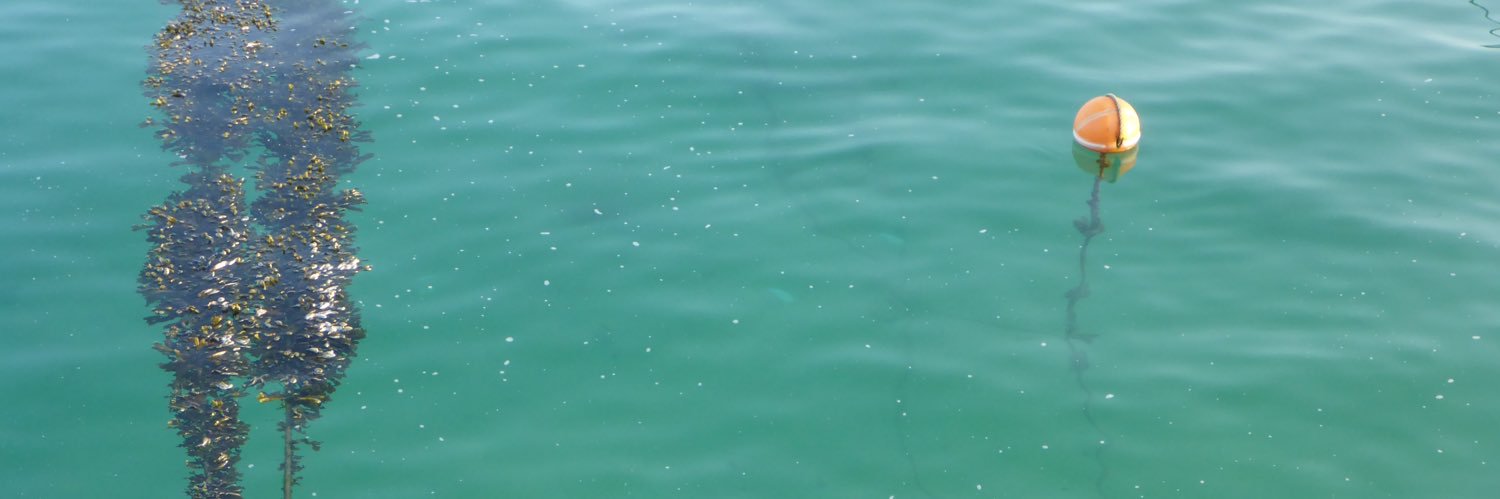CornishSpouse's profile banner image