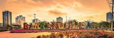 emaria_rf's profile banner image