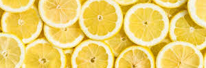 tina romano banner