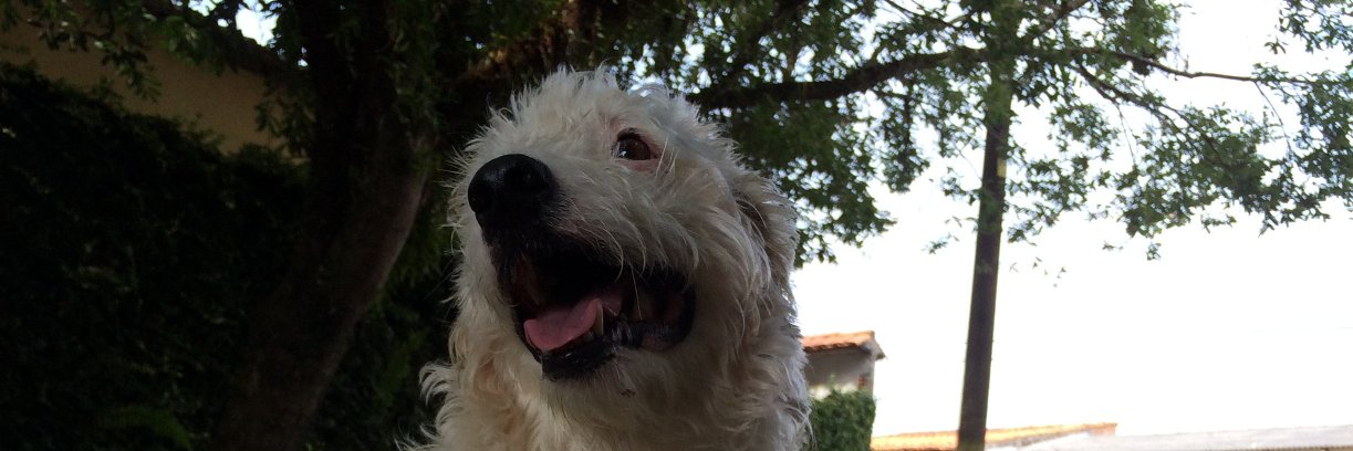 Kau_correa's profile banner image