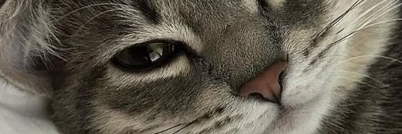 AzranurgulerNur's profile banner image