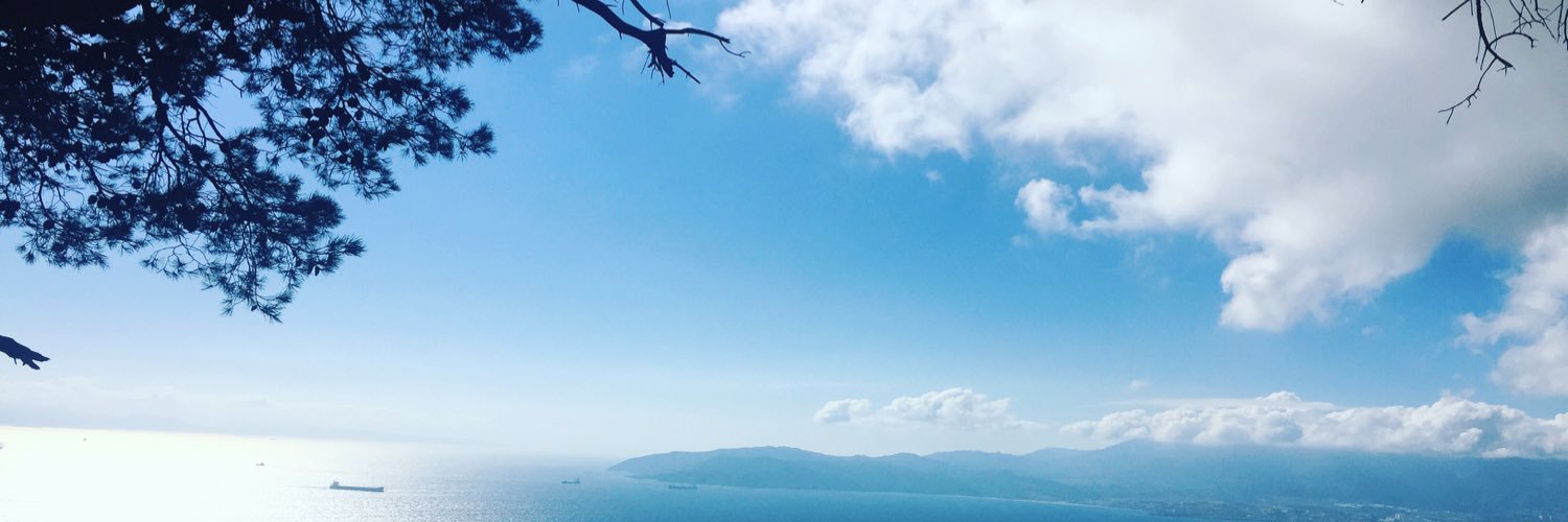 Aleenagibson's profile banner image