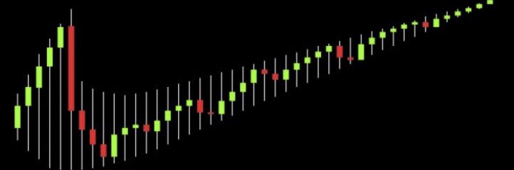 Just hodl it banner