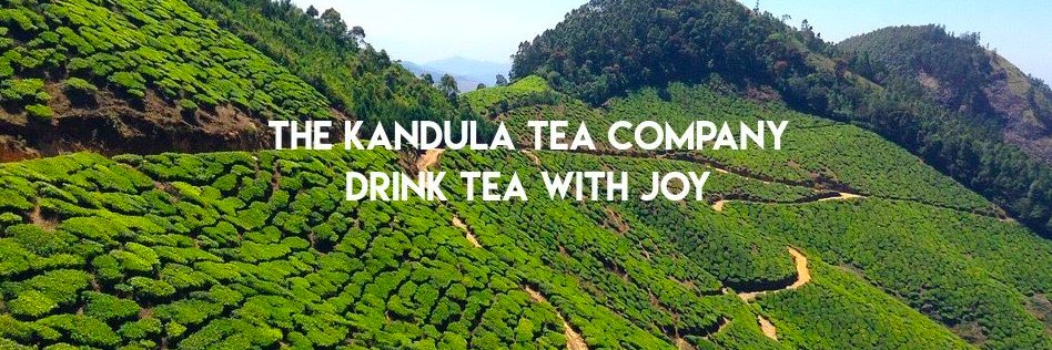 kandulatea's profile banner image