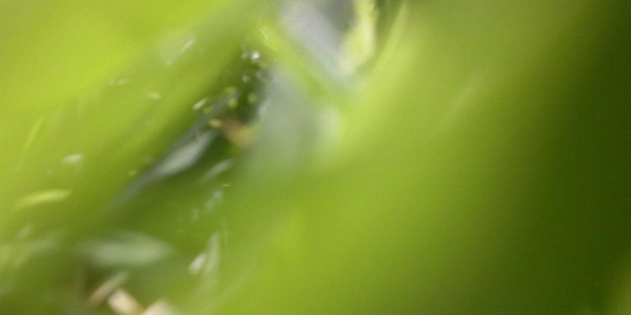 inellipsis's profile banner image