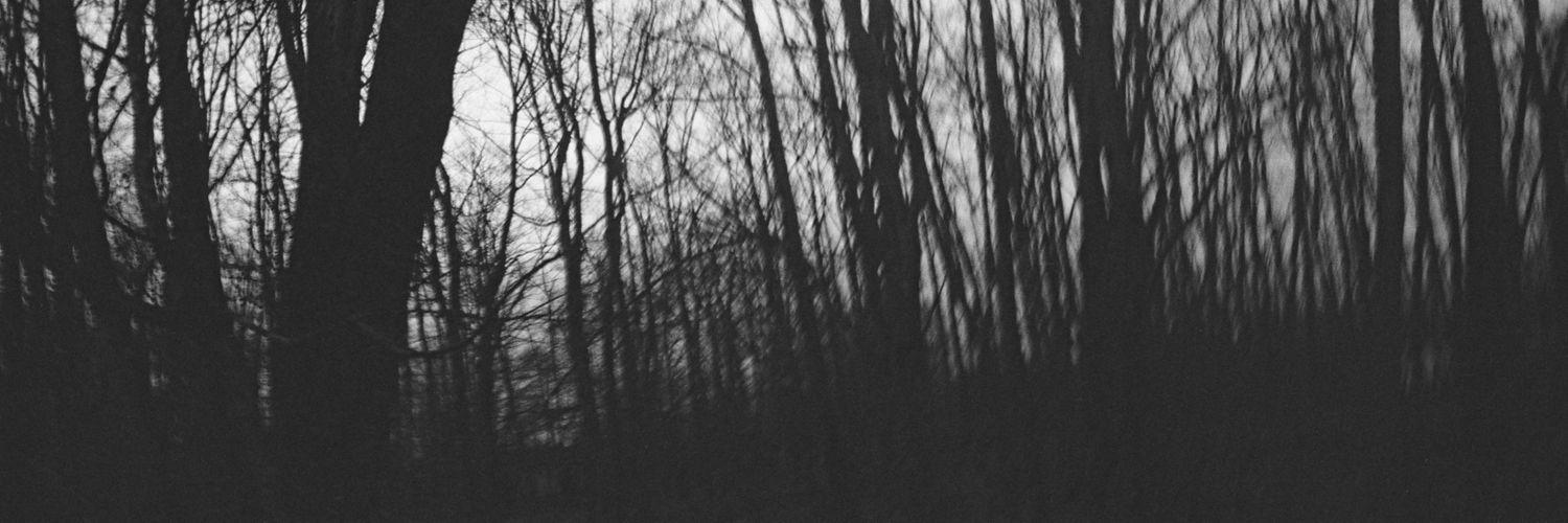 SilverFire15's profile banner image