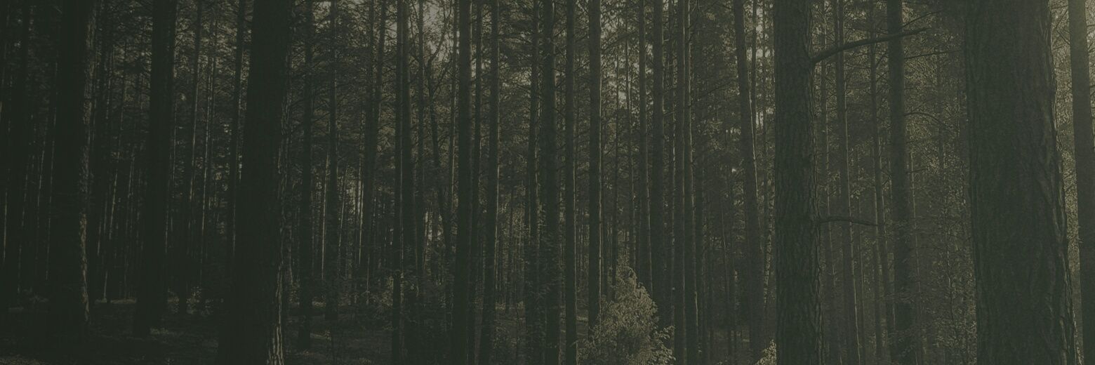 MishkkaMusic's profile banner image
