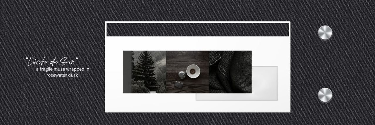 Noevyne's profile banner image