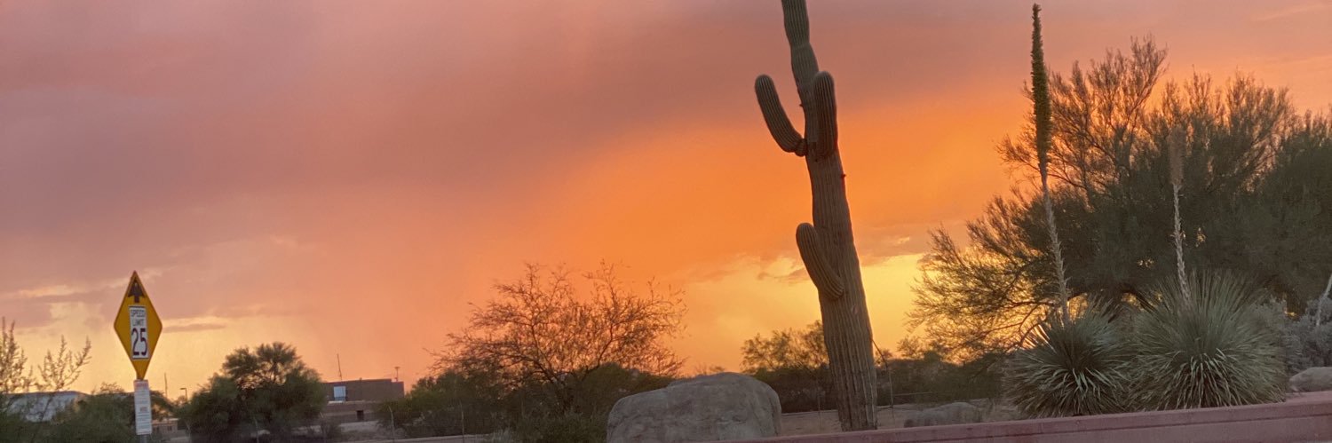 mrsheidi29's profile banner image