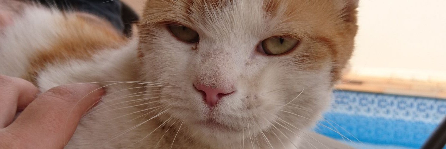 clacguedes's profile banner image